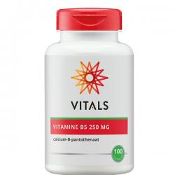 Vitamine B5 pantotheenzuur 250 mg