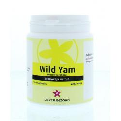 Wild yam root