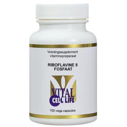 Riboflavine 5 fosfaat/vitamine B2 22mg