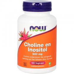 Choline en inositol 500mg