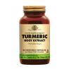 Turmeric (Kurkuma) Root Extract