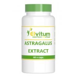 Astragalus extract 500mg